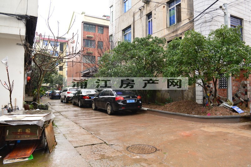 實景圖