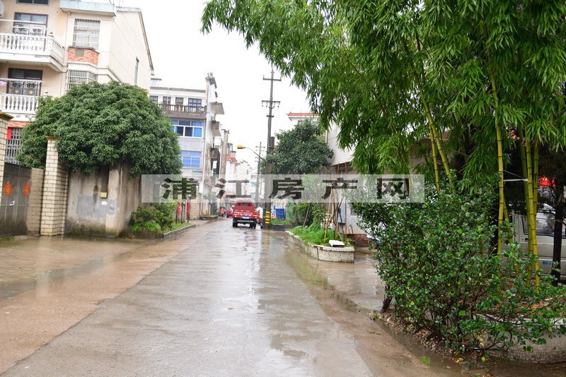 實景圖