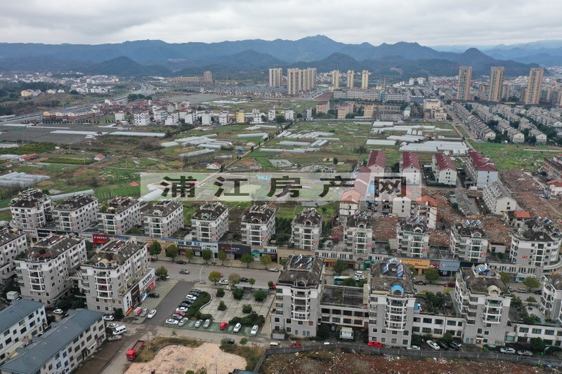 實景圖
