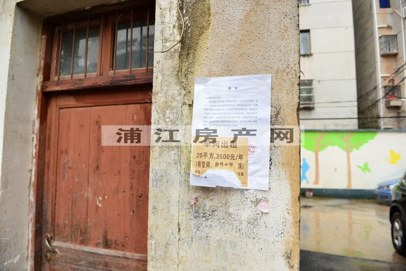 實景圖
