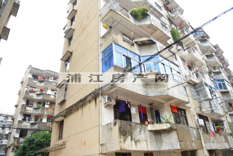 實景圖