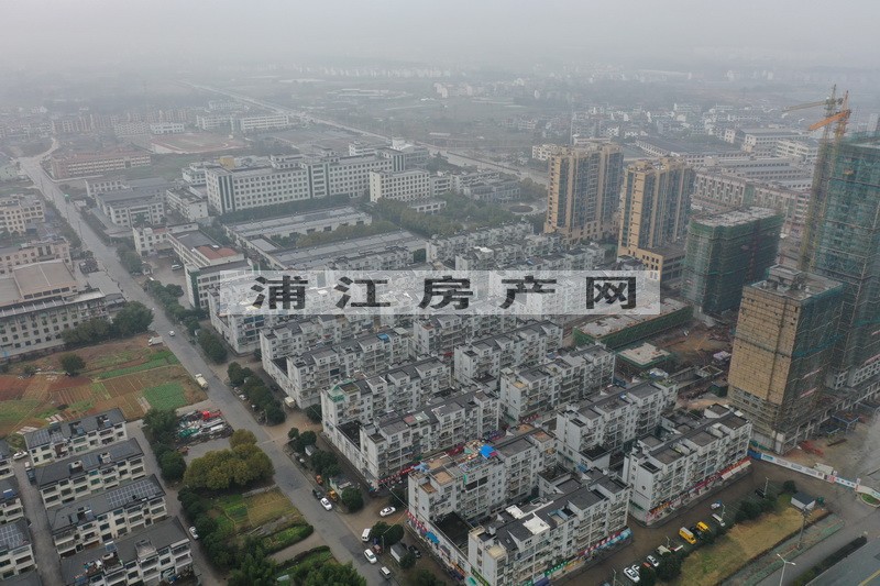 實景圖