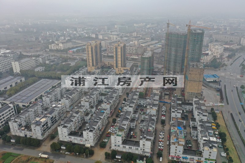實景圖