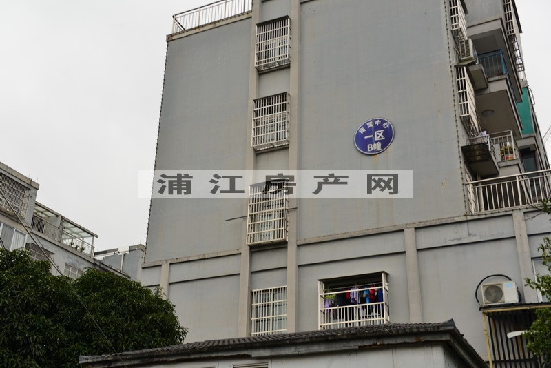 實景圖