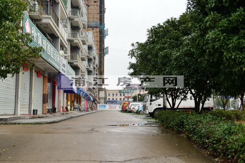 實景圖