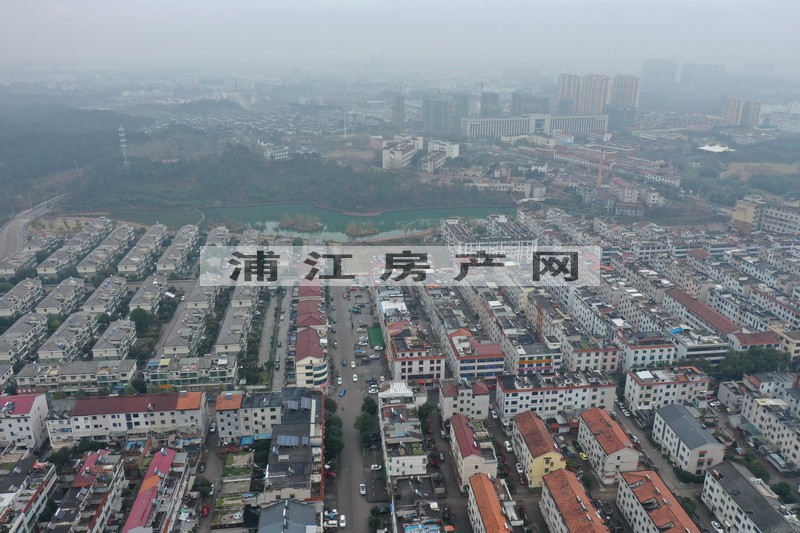 實景圖
