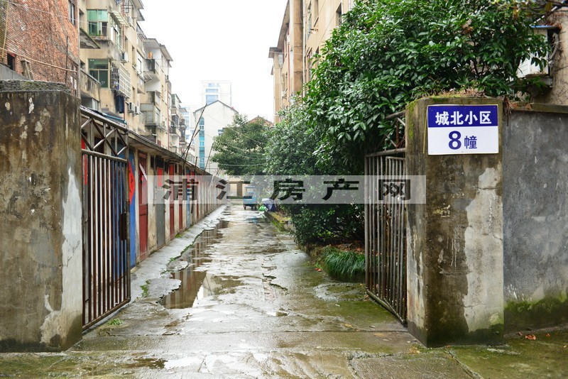 實景圖