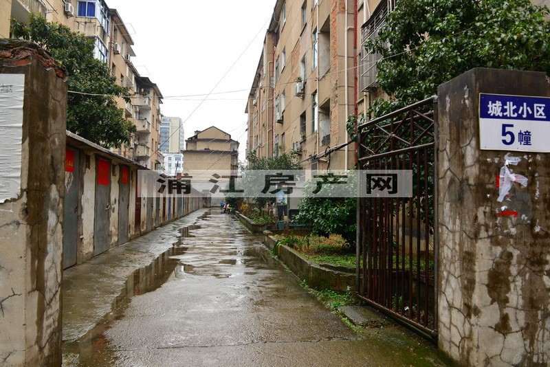 實景圖