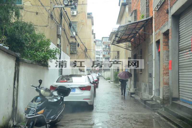 實景圖
