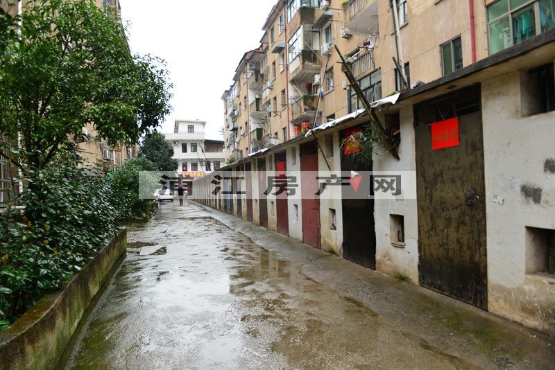 實景圖