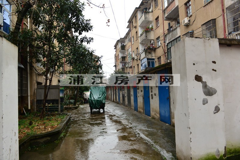 實景圖