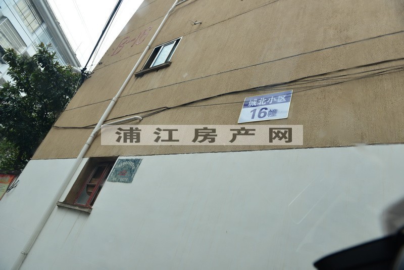 實景圖