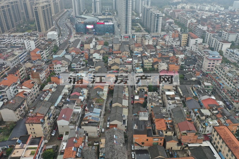 實景圖
