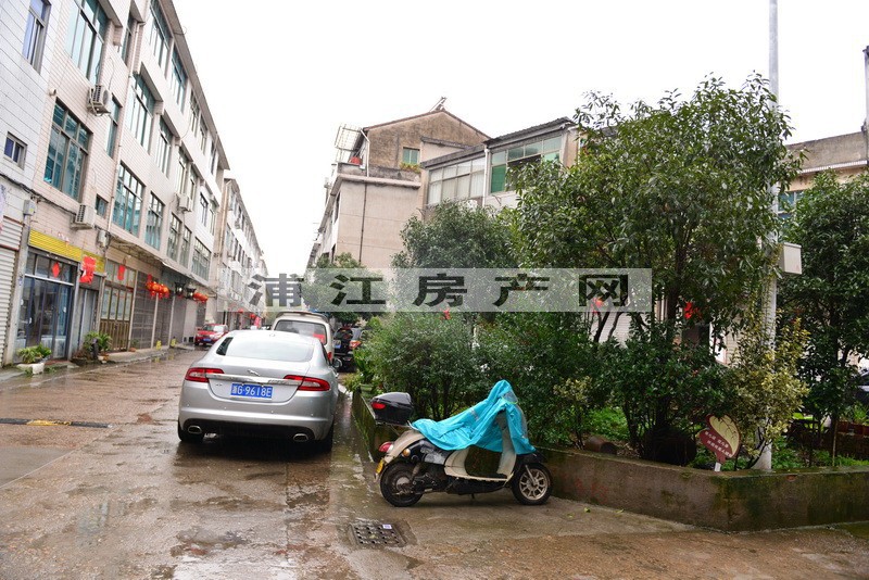 實景圖