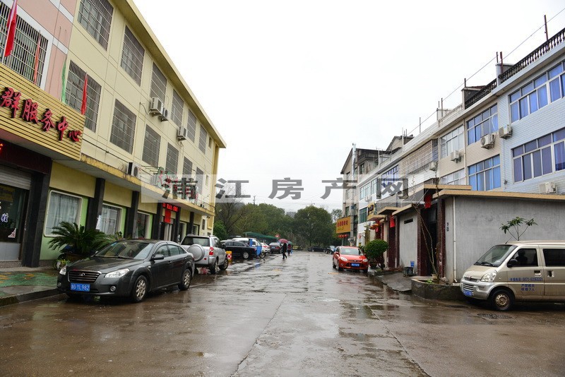 實景圖