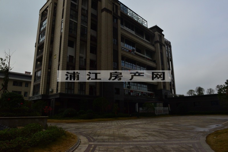 實(shí)景圖