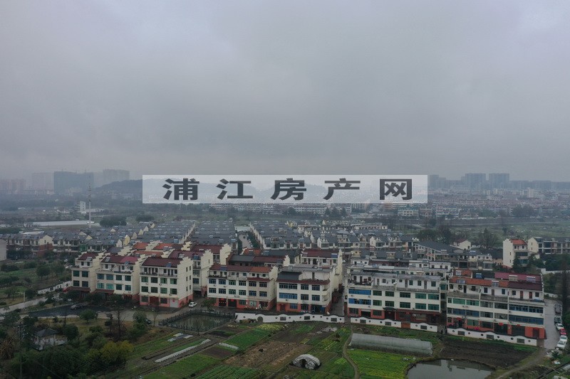 實景圖
