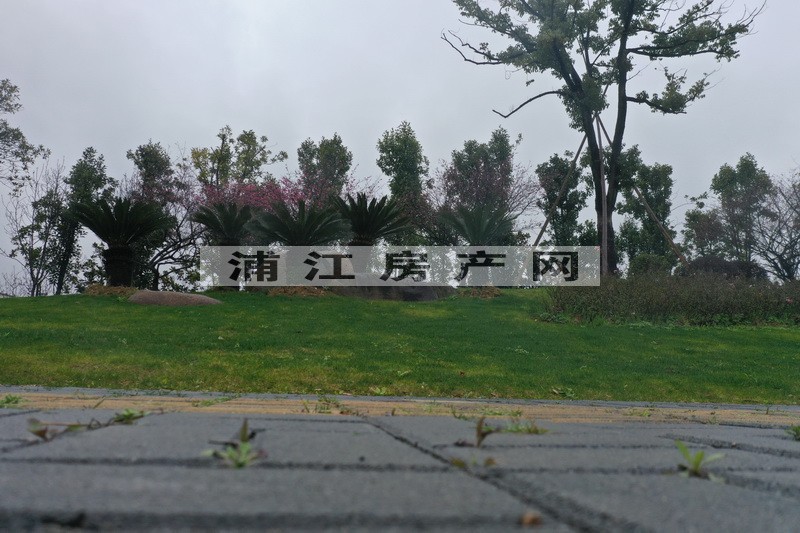 實景圖