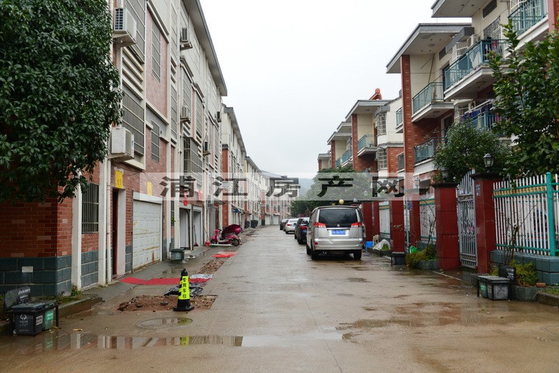 實景圖