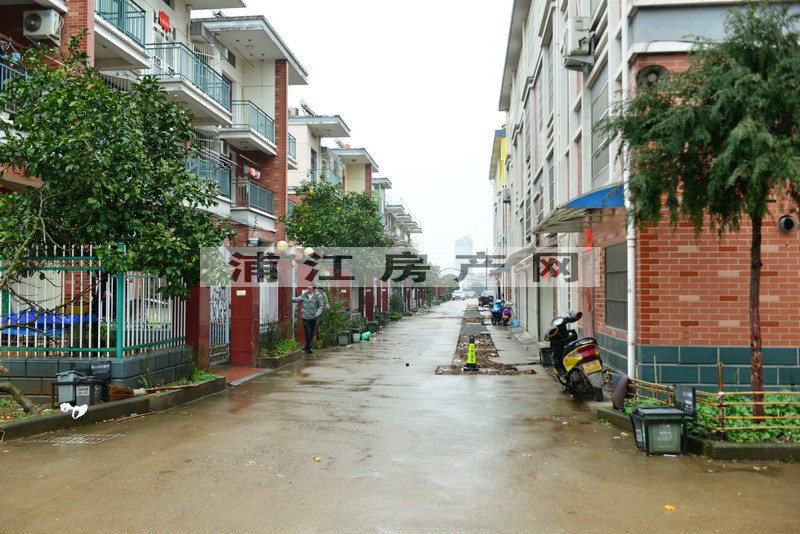 實景圖