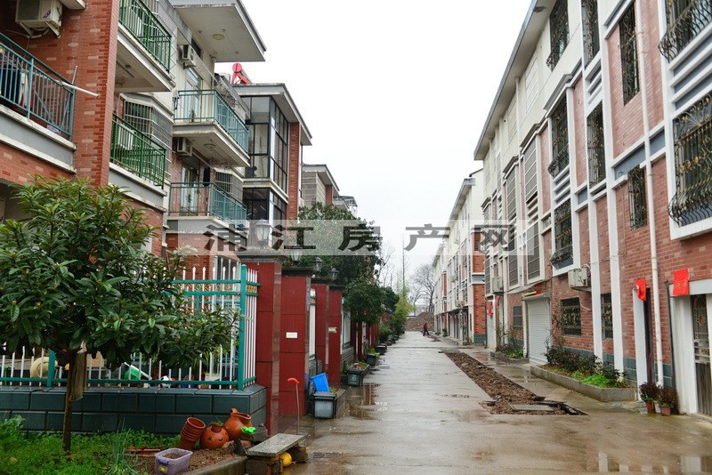 實景圖