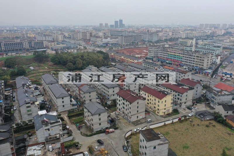 實景圖