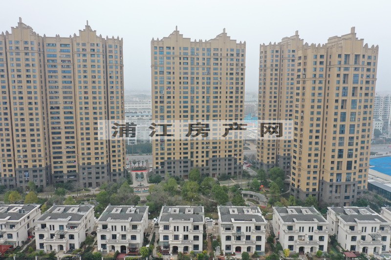 實景圖