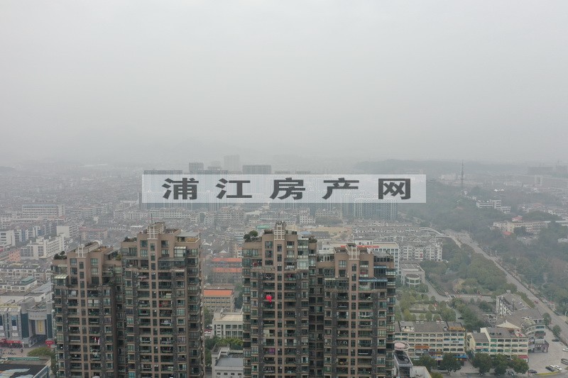 實景圖