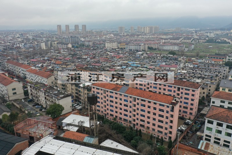 實景圖