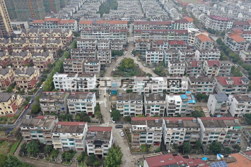 實景圖