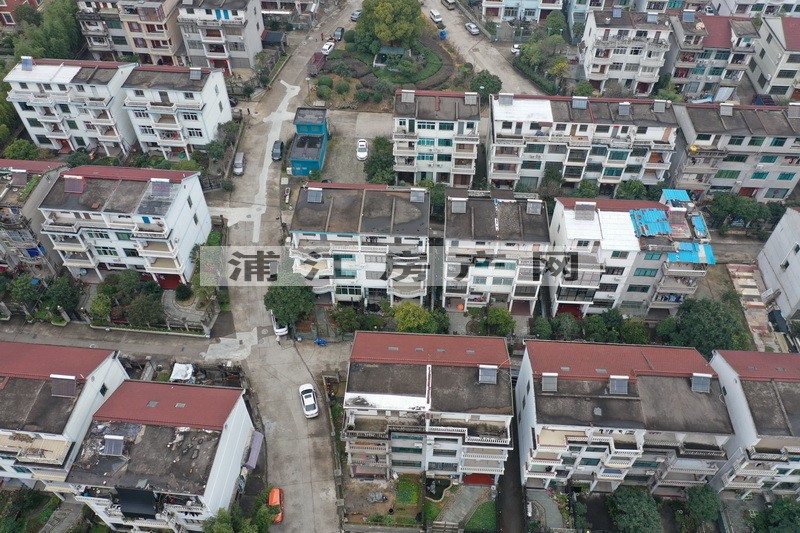 實景圖
