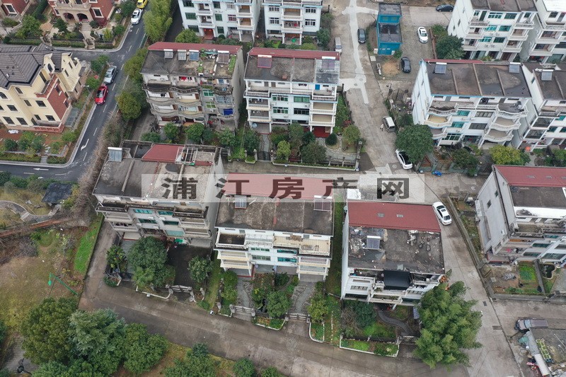 實景圖