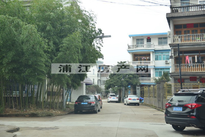 實景圖