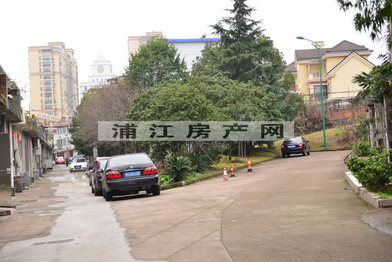 實景圖