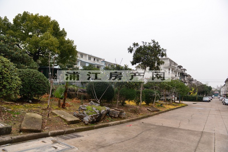 實景圖