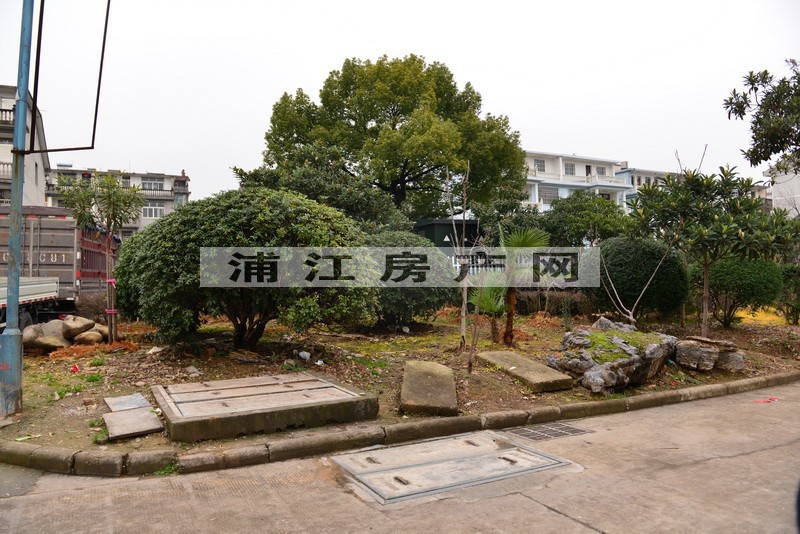 實景圖