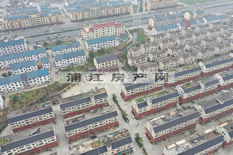 實景圖