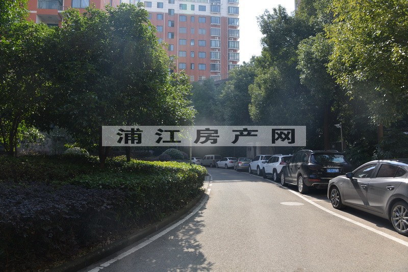 實景圖