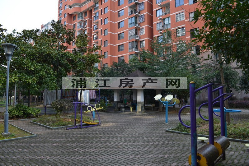實景圖