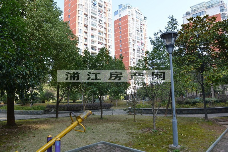 實景圖