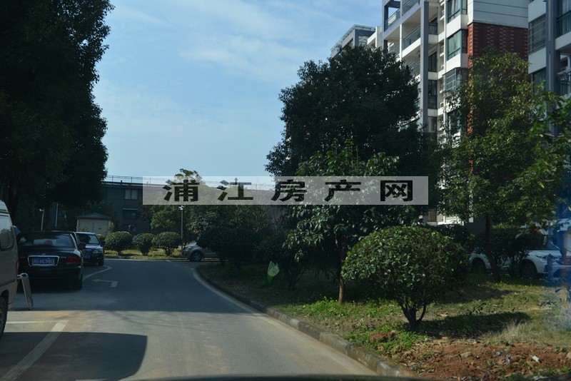 實景圖