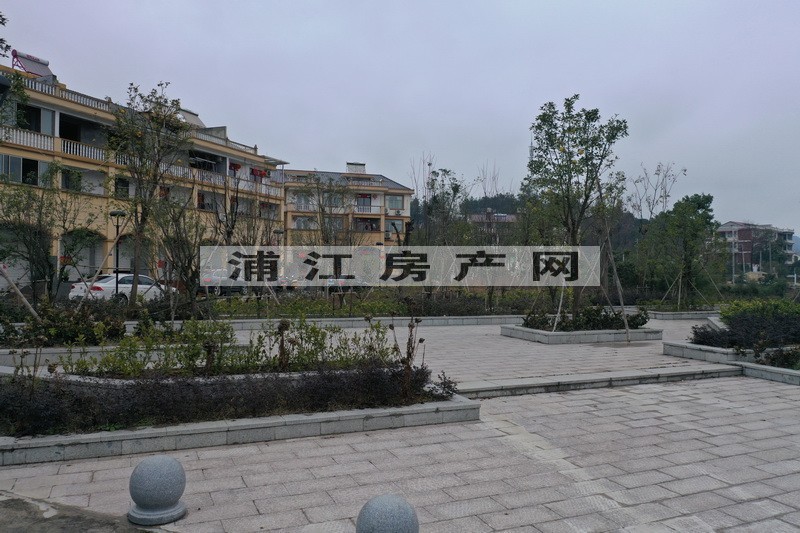 實景圖