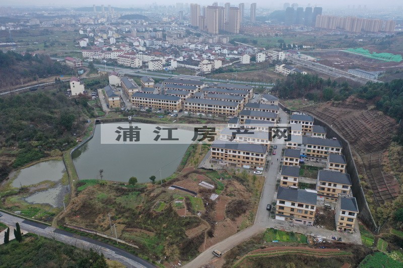 實景圖