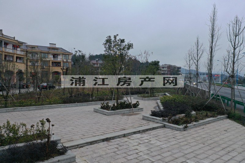 實景圖