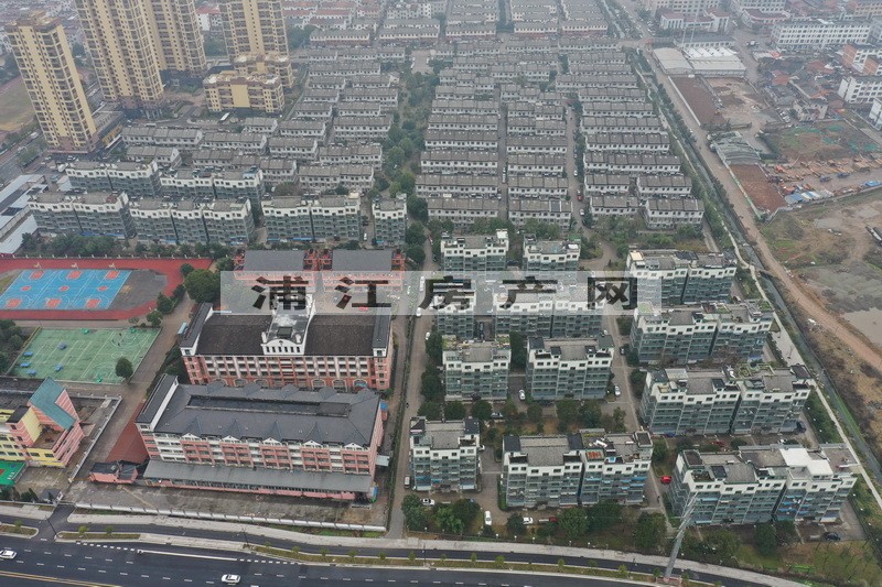 實景圖