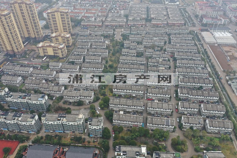 實景圖