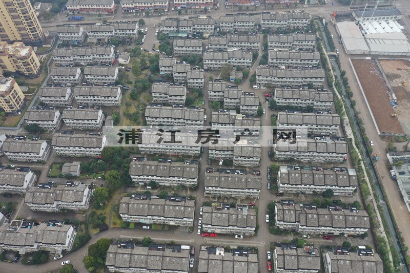 實景圖