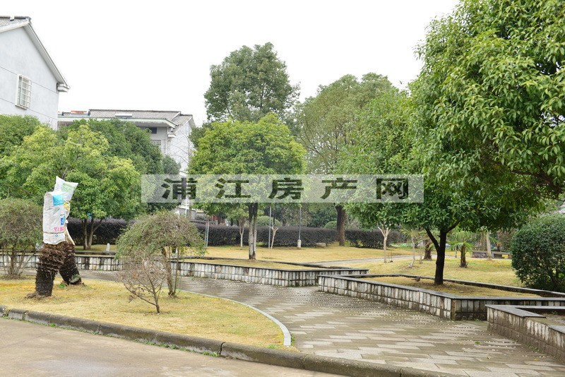 實景圖