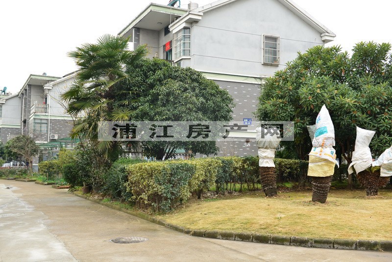 實景圖