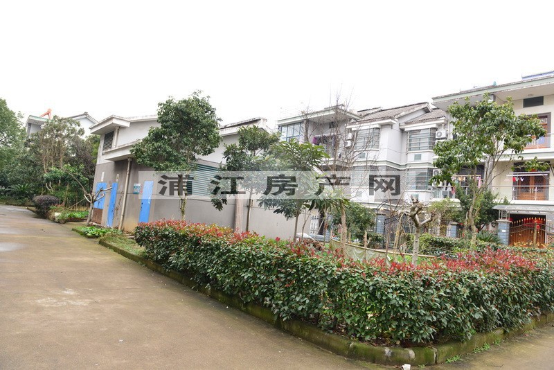 實景圖